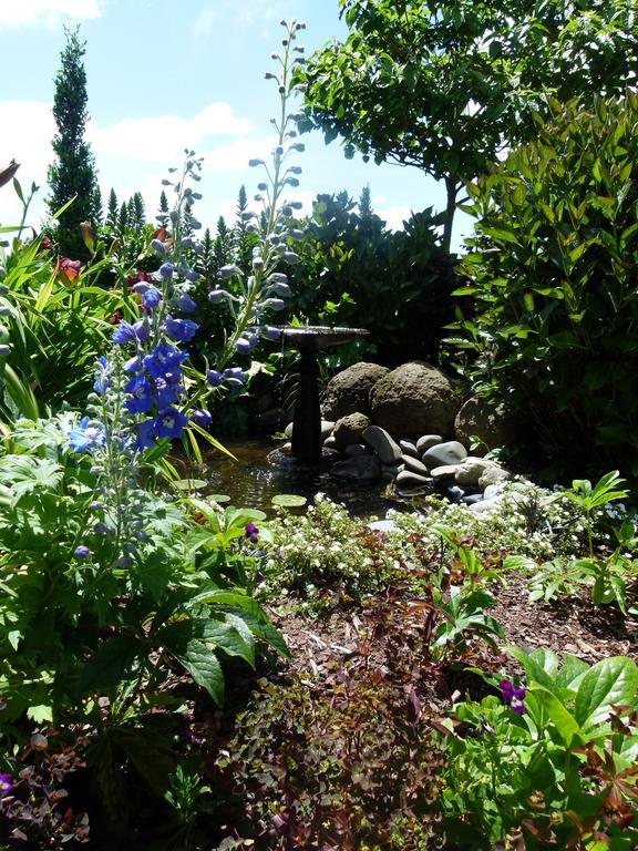 Hadleigh Boutique Lodge Tamahere Εξωτερικό φωτογραφία
