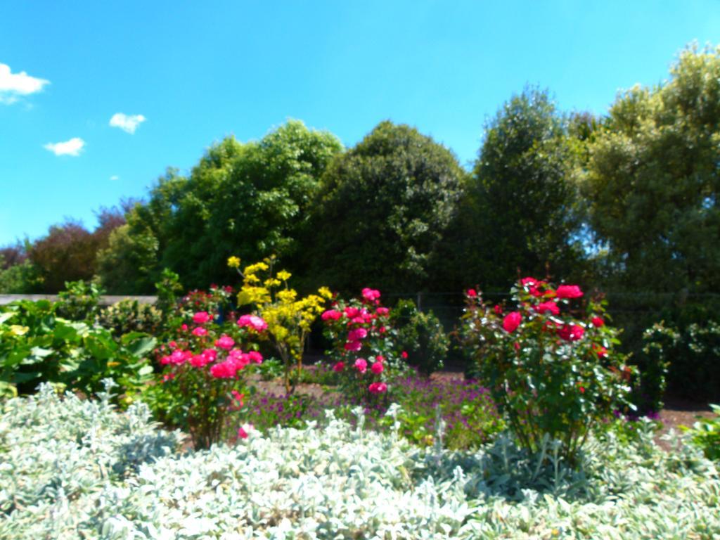 Hadleigh Boutique Lodge Tamahere Εξωτερικό φωτογραφία