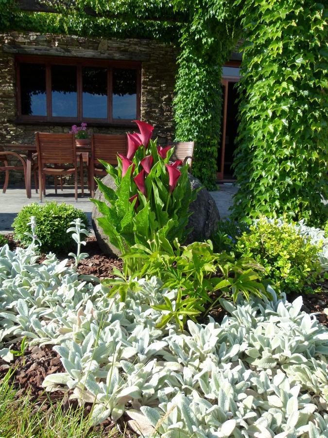 Hadleigh Boutique Lodge Tamahere Εξωτερικό φωτογραφία