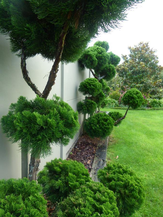 Hadleigh Boutique Lodge Tamahere Εξωτερικό φωτογραφία